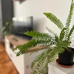 Travellers Apartment